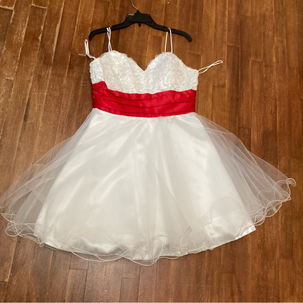 Vintage plus size party babydoll cupcake core fairycore dress mini   2x